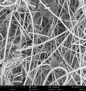 SEM image zoomed in