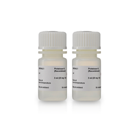 Sera-Xtracta Cell Free DNA Kit Proteinase