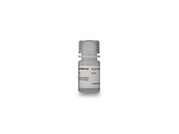 Sera-Xtracta Cell Free DNA Kit Elution Buffer