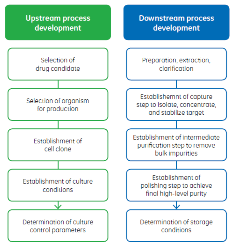 Process development activities are commonly dispersed between upstream and downstream teams.