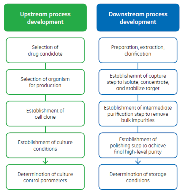 scale-up-and-scale-down-approaches-in-biologics-venn-life-sciences