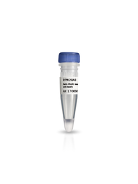 Anti-BrdU Antibody Testing Tube
