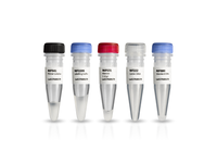 Amersham Megaprime DNA Labeling System