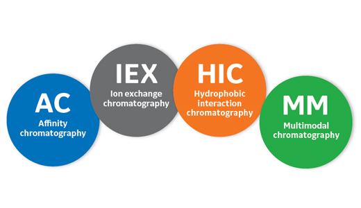Guide to modern BioProcess chromatography resins