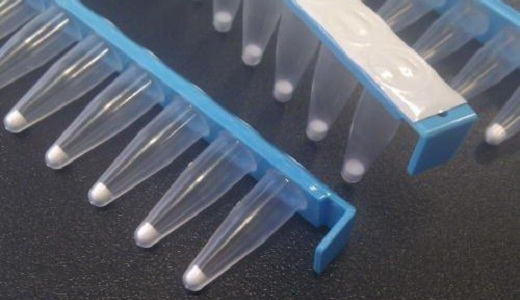 RTG GenomiPhi V3 24 rxn