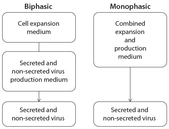Chart of Biphaisc and Monophasic media designs