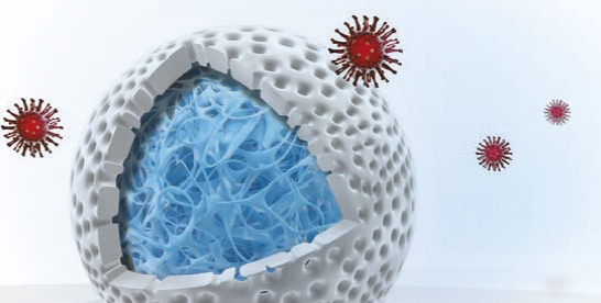 Schematic of virus particle