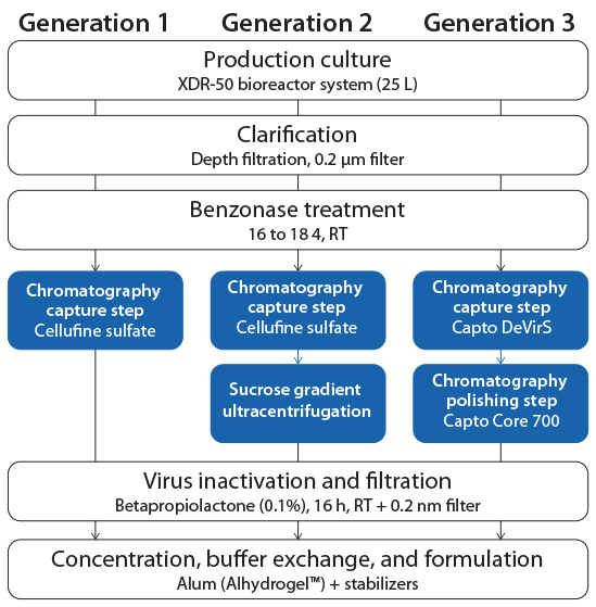 Optimized virus production process for flavivirus
