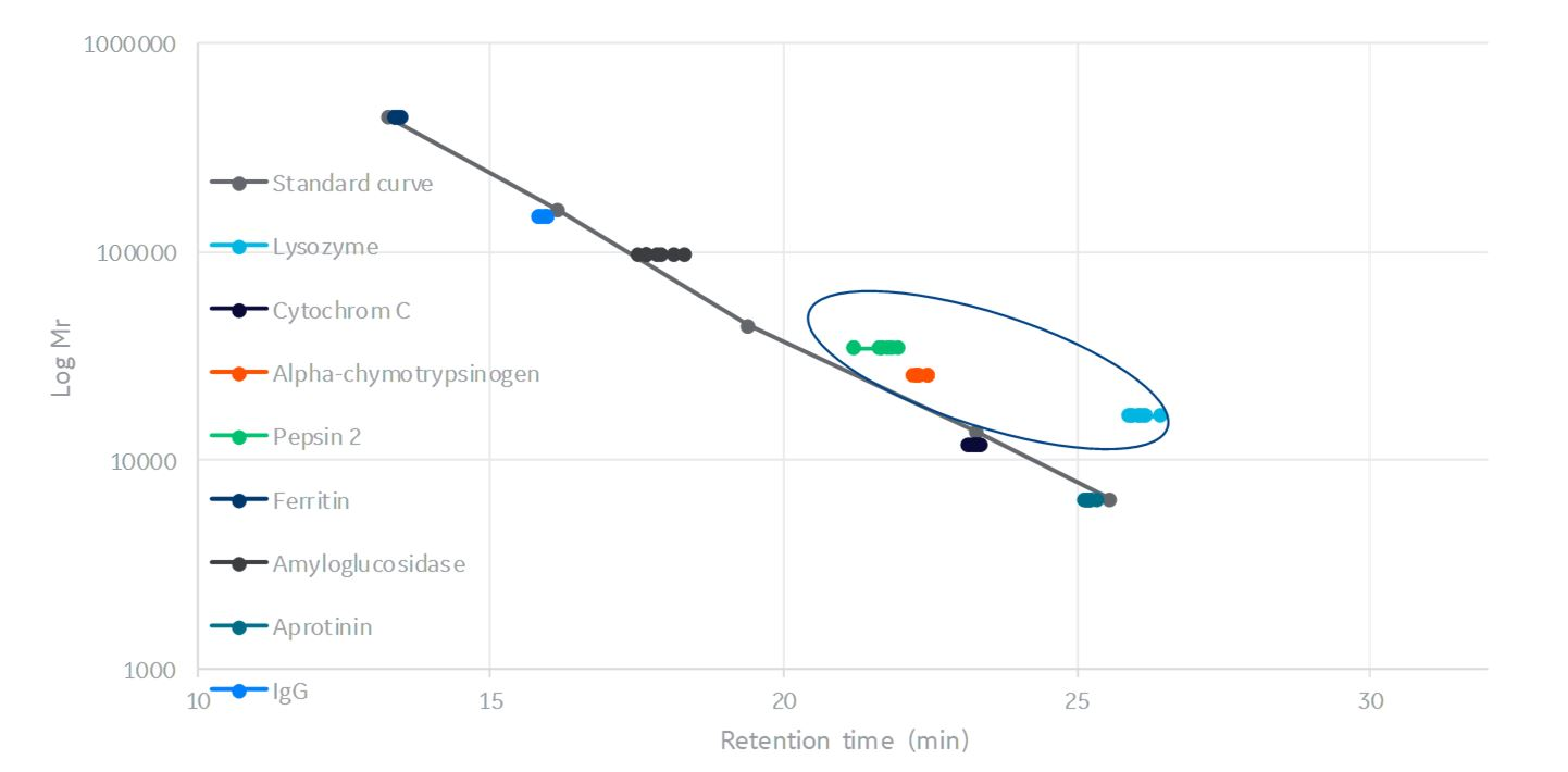 Size exclusion chromatography calibration curve with retention volume plotted for studied proteins.