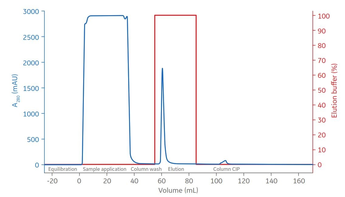 A 5 mL sample of clarified CHO medium was applied to HiTrap Protein G column and bound material was eluted by step elution with buffer containing 50 mM glycine-HCl at pH 2.5.