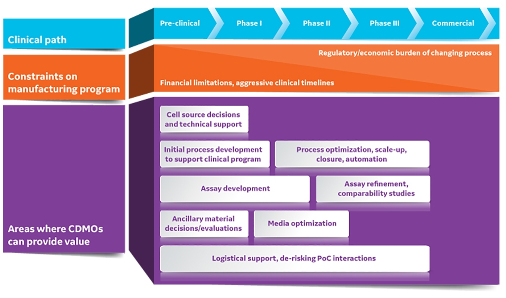 CDMOs can provide substantial value to early-stage cell and gene therapy developers