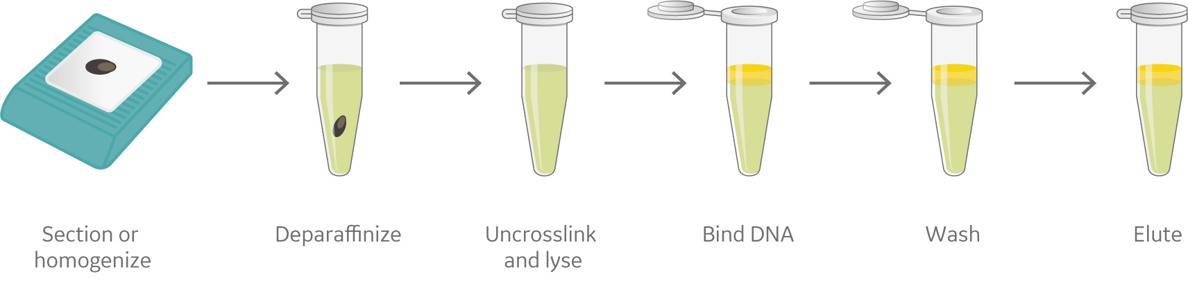 magnetic bead layers