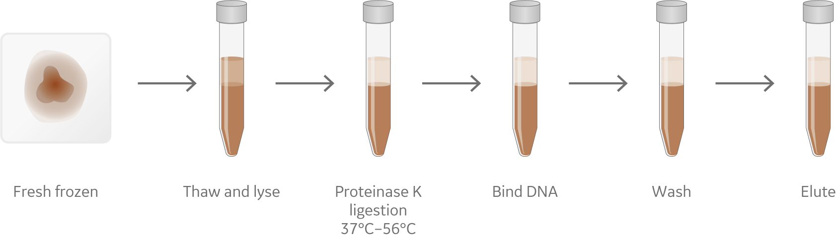 magnetic bead layers
