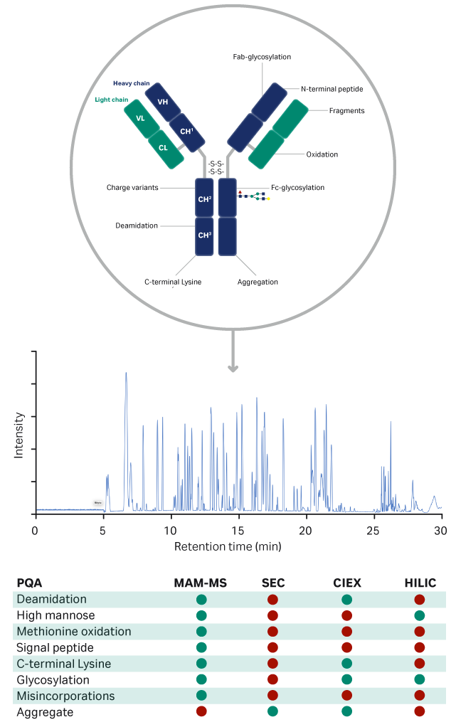 Overview of PQAs that can be monitored with MAM-MS and with traditional chromatography methods. 