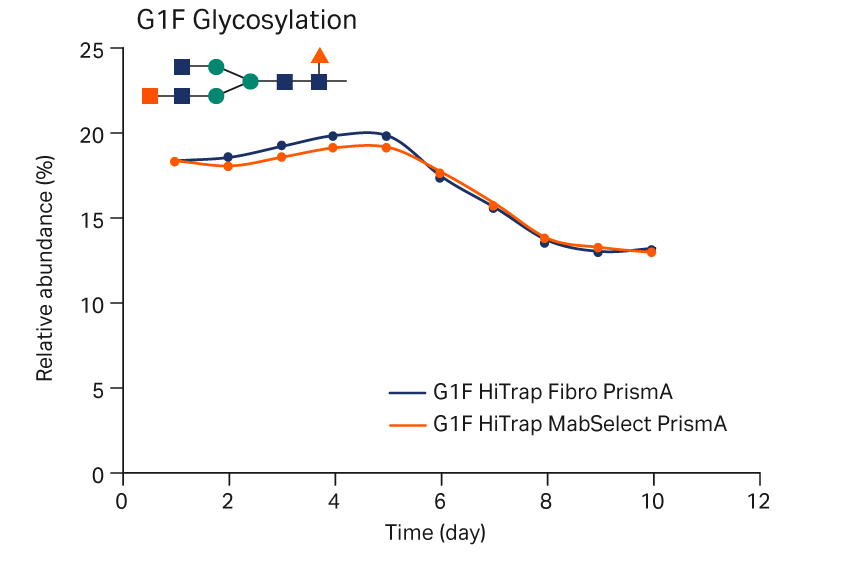 Fibro PrismA MabSelect PrismA N-glycolylation profile