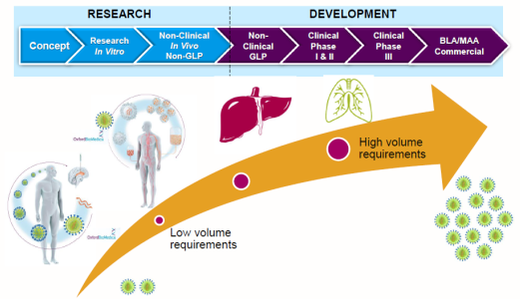 Gene therapy manufacturing requirements