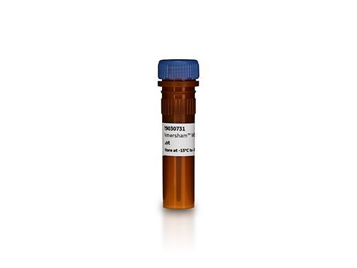Amersham™ QuickStain Protein Labeling Kit | Cytiva