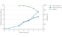 Upstream lentivirus viable cell density and viability small scale