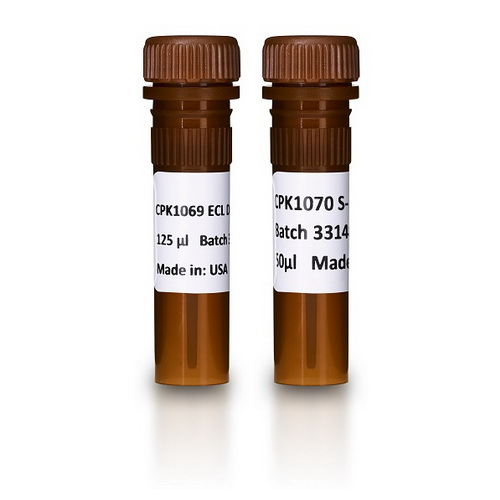 ECL DualVue Western blotting markers