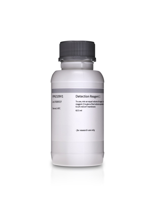 Amersham ECL Western Blotting Detection Kit
