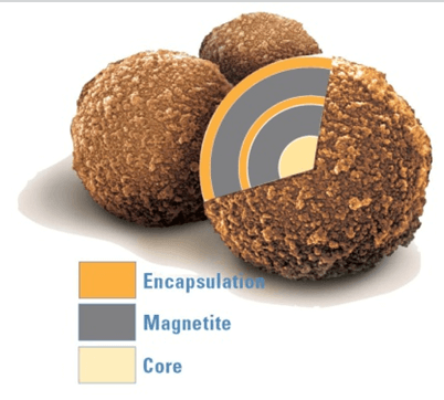 Double magnetite layers in Sera-Mag SpeedBeads