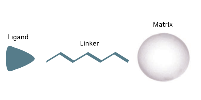 Ligand linker matrix