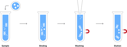 Nucleic acid isolation process in blue