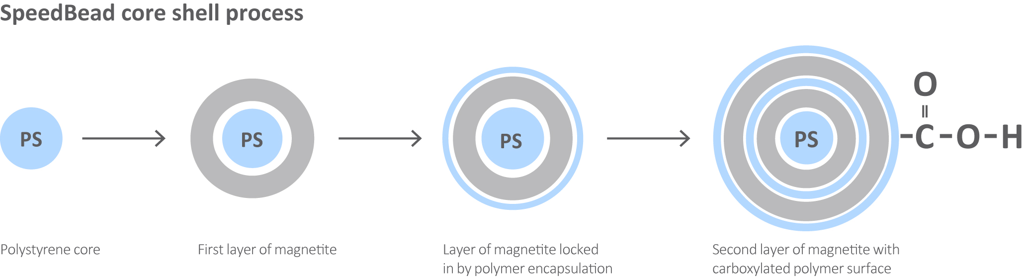 Reproducible protein and peptide cleanup for mass spectrometry