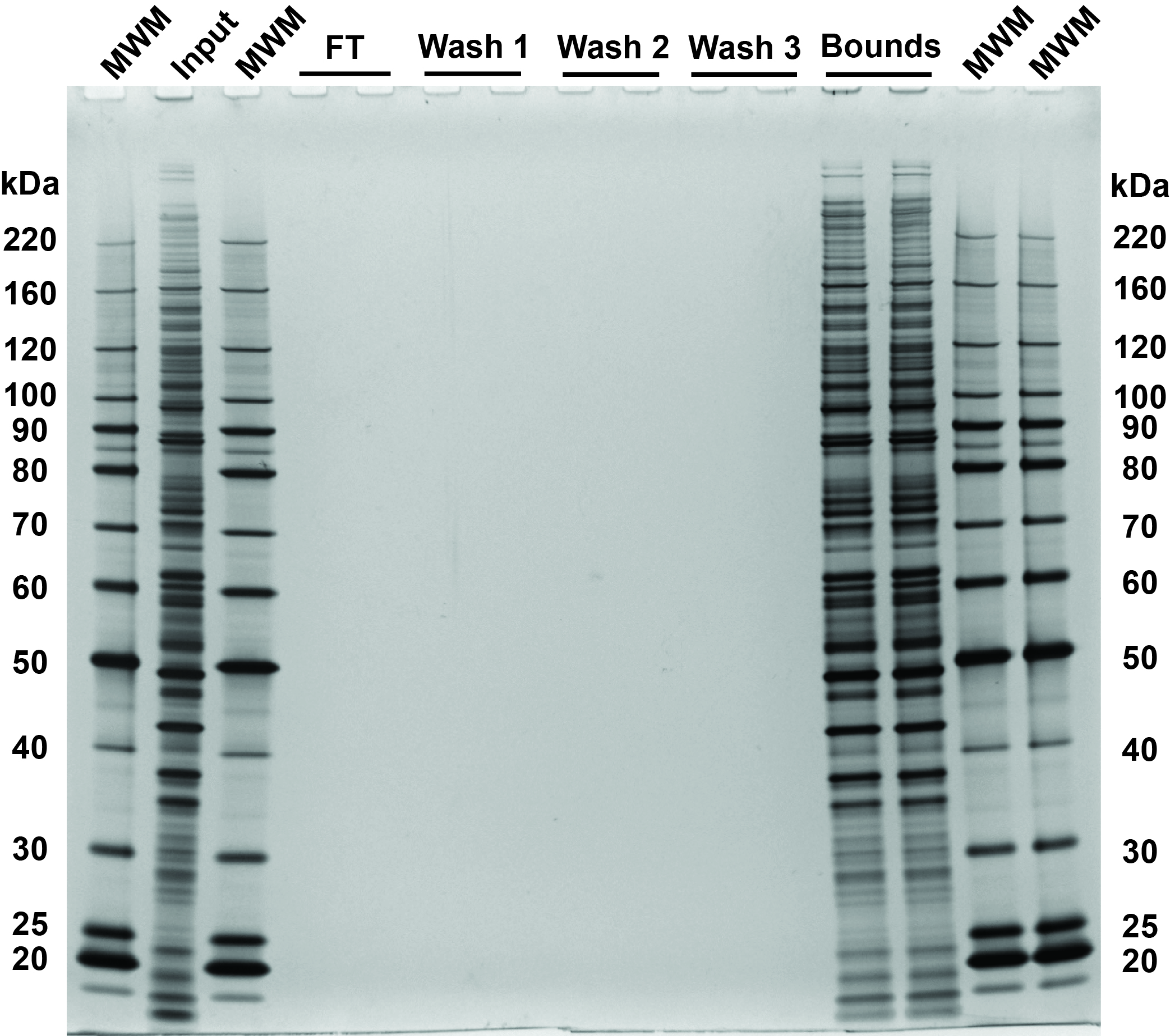 Pierce™ Dimethylsulfoxide (DMSO), Sequencing Grade