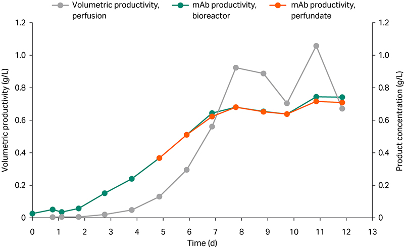 Volumetric mAb productivity and product concentration in ReadyToProcessWAVE 25 bioreactor and perfusate, respectively.