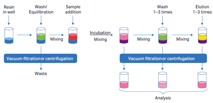 Steps in batch purification using PreDictor 96-well plates comprises the same steps as chromatography column experiments: equilibration of resin with desired buffer; sample application; wash; and elution of the protein target.