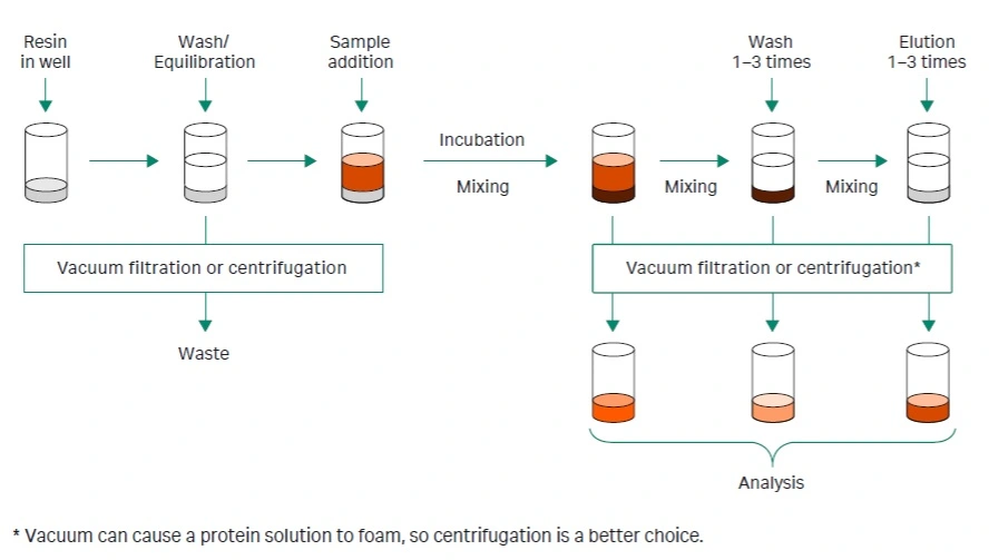 Steps in batch purification using Predictor 96 well plate