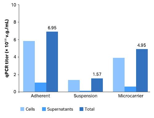 AAV production titers, adherent, suspension microcarrier cell culture