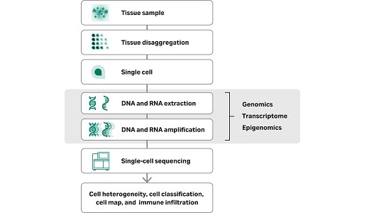 Tissue disaggregation for single cell sequencing