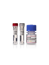 Amersham Shrimp Alkaline Phosphatase