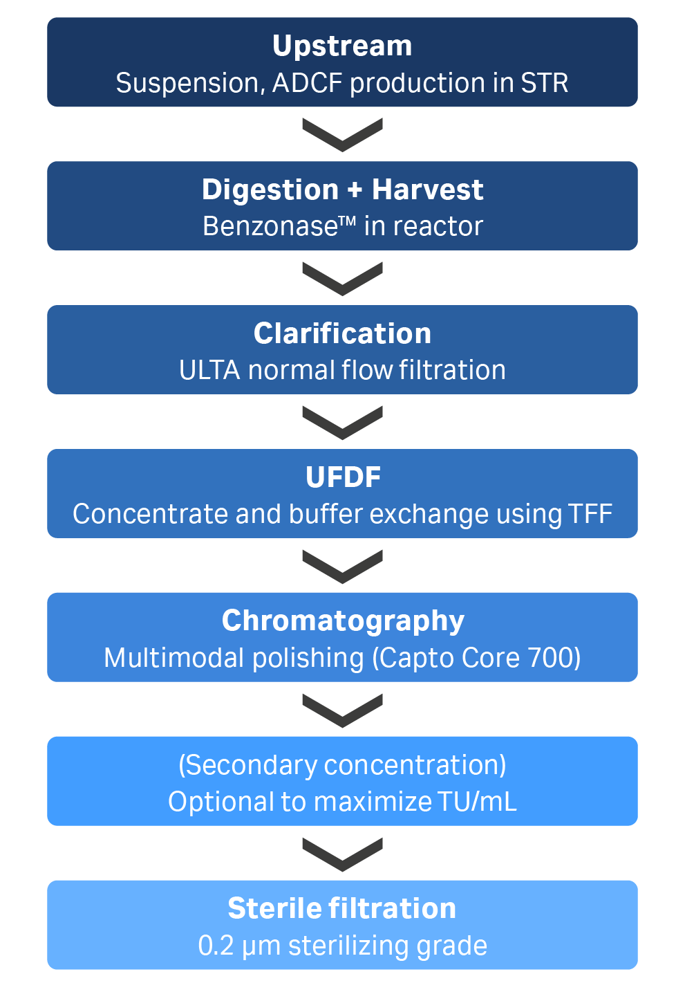 Developed LV production and purification process