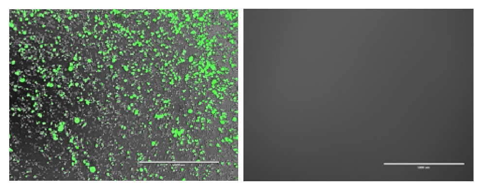 Pre- and post-clarification images