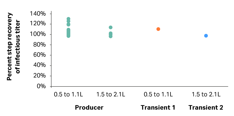 Post-clarification recovery with transient transfection cell lines
