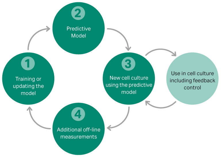 Using in line sensors for real time control Cytiva