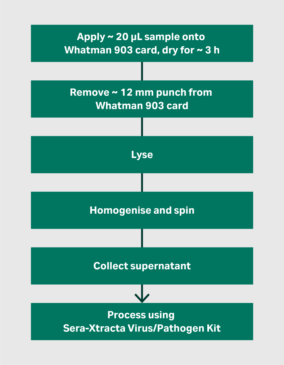 Workflow for initial lysis and homogenisation of Whatman 903 cards