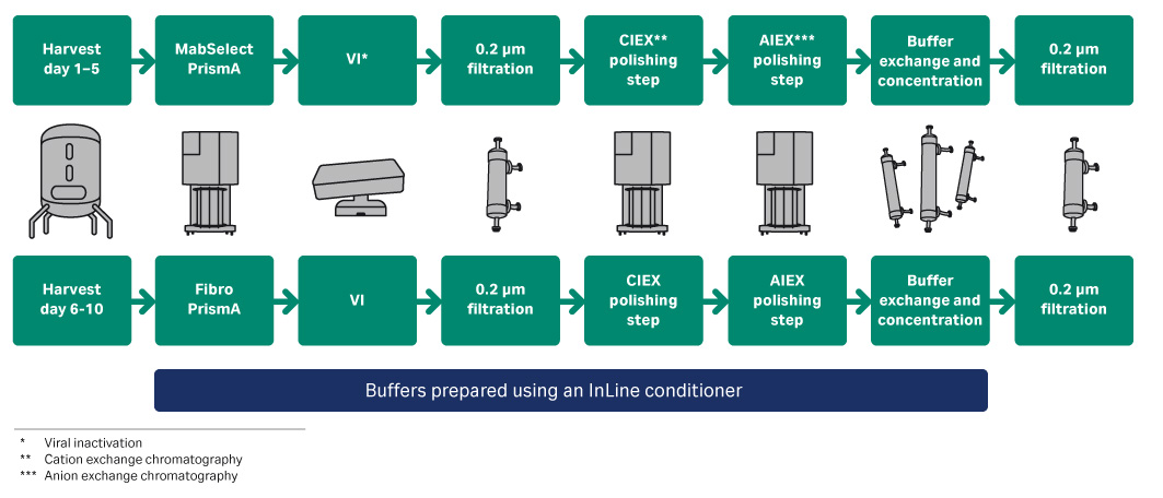 Process flow chart for the connected mAb purification processes