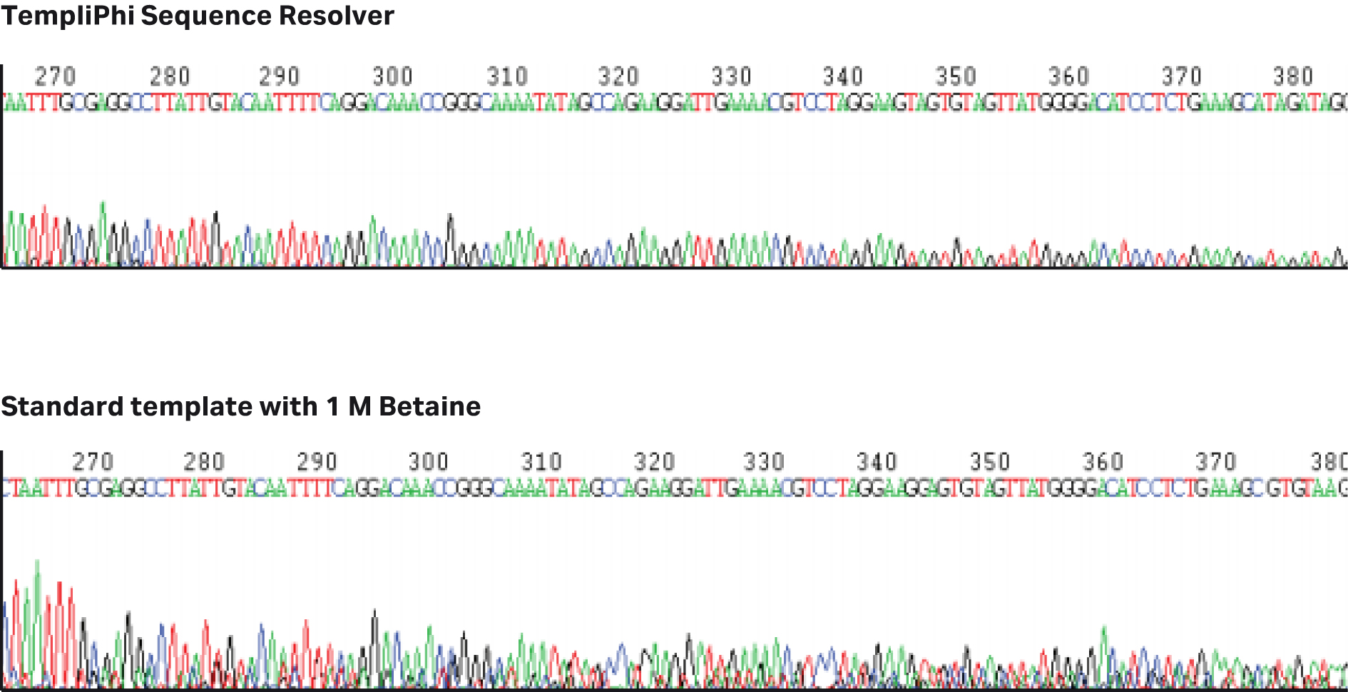 Strand-displacing activity of phi29 DNA polymerase causes nascent strand to be displaced, exposing new recognition sites for the hexamers in a process known as branching. 