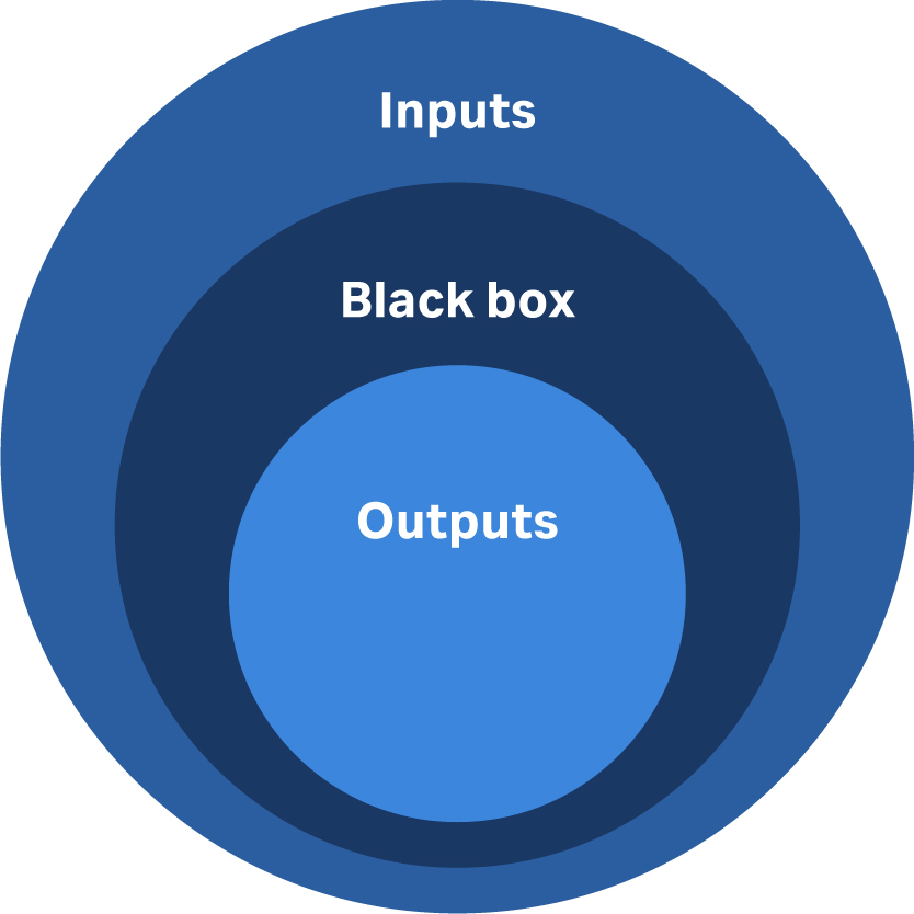 image for inputs outputs and black box