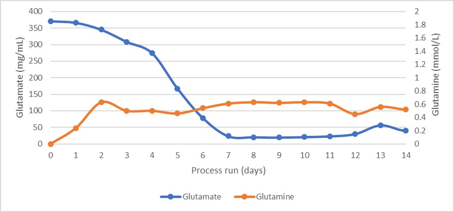 Glutamate and glutamine concentration profiles during the perfusion cell culture.