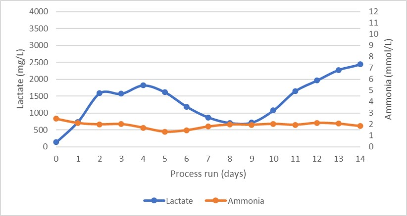 Lactate and ammonia production profile