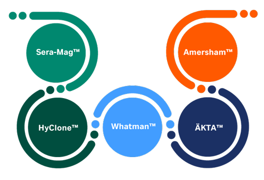 Protein research workflow