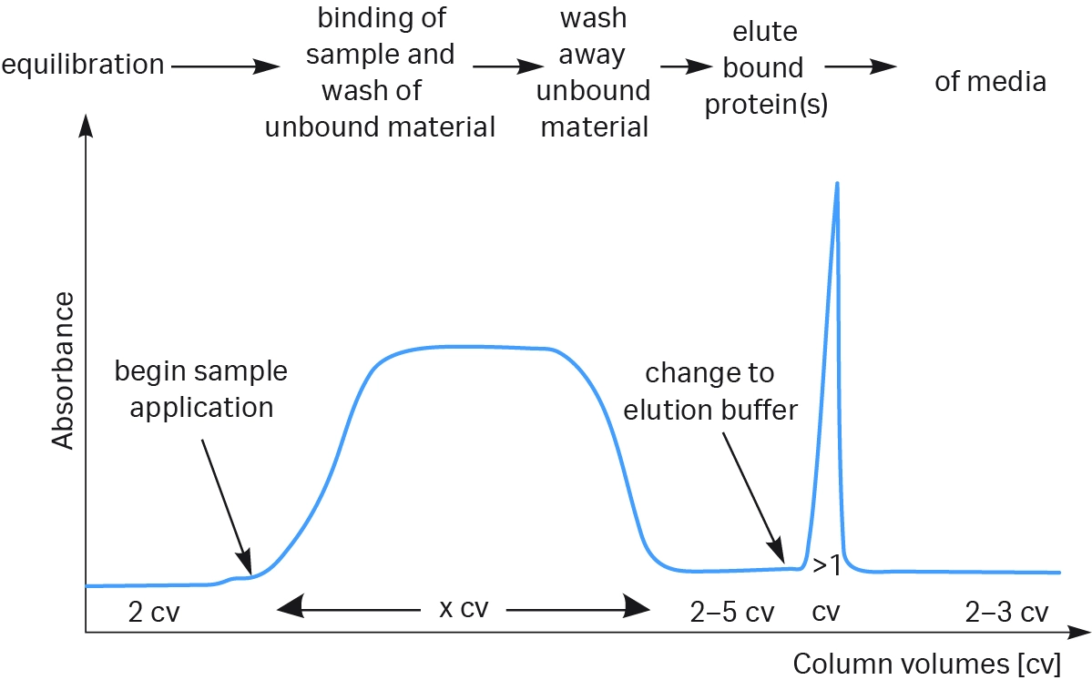 Affinity chromatography columns and media - Fig. 1