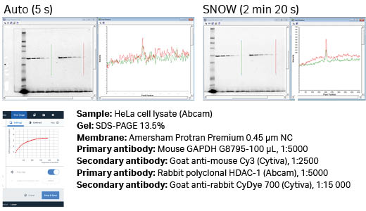 Auto versus SNOW with Cy3 detection of GAPDH