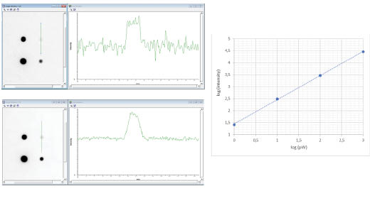 Auto mode versus SNOW mode of a calibrated light source