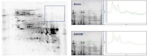 Detecting weak bands with greater confidence